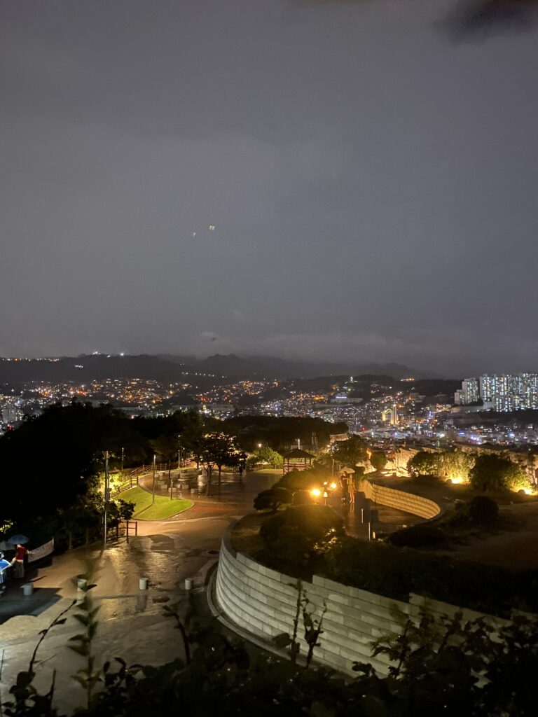 Naksan Park night view of Seoul city lights from the city wall