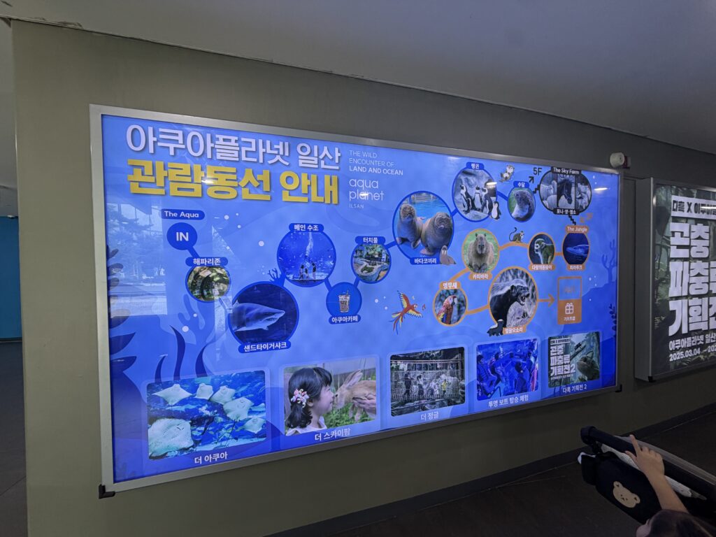Aqua Planet Ilsan visitor route map showing sea life, jungle zone, and rooftop sky farm