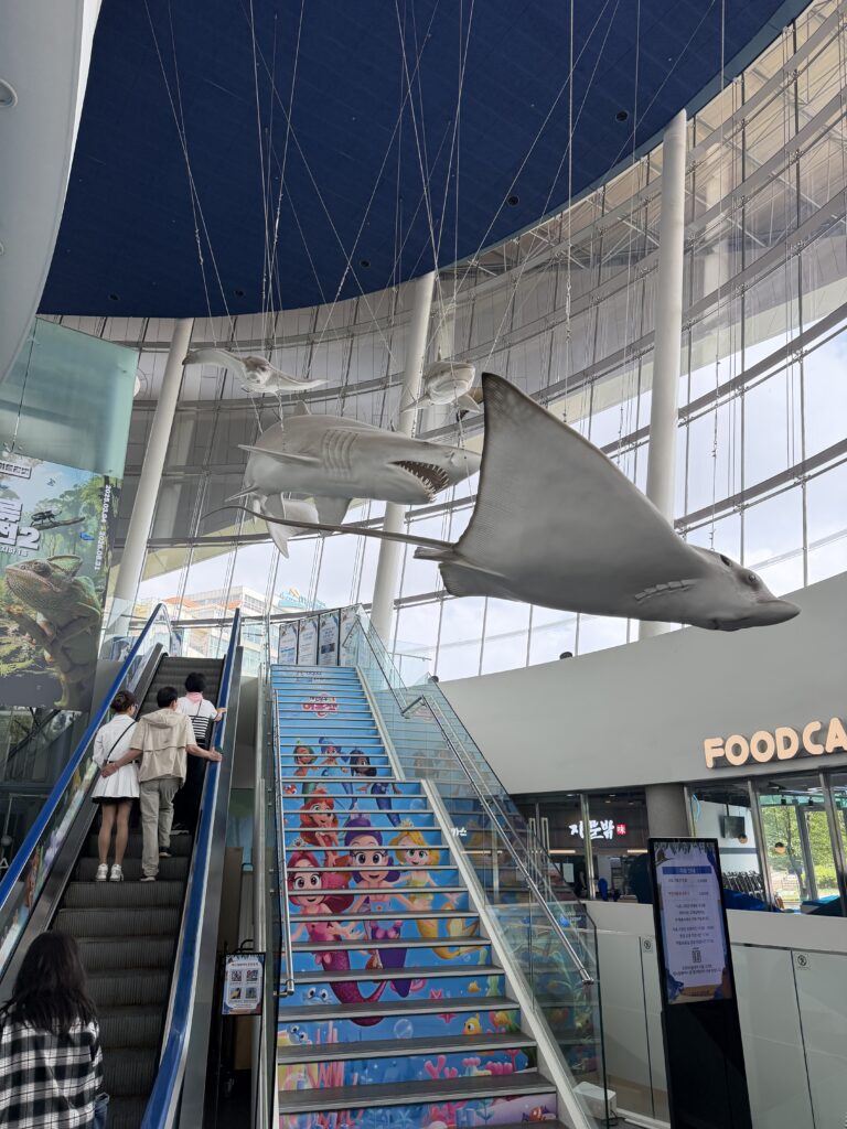 Shark and stingray models hanging above the escalator and mermaid-decorated stairs at Aqua Planet Ilsan