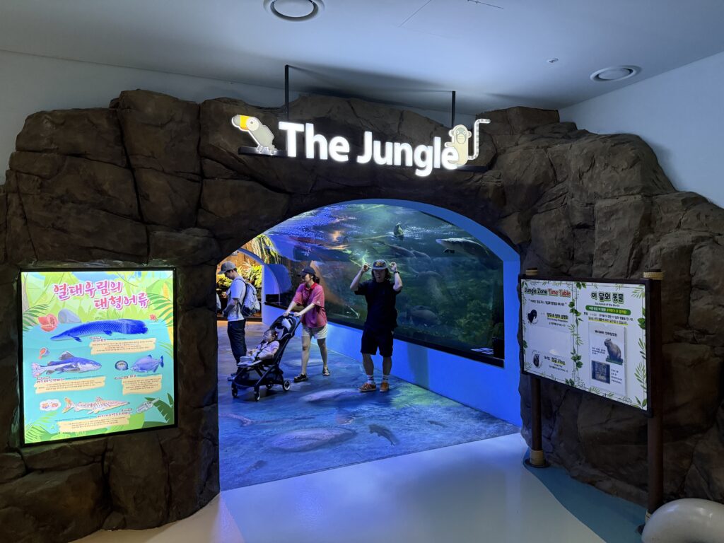 Entrance to The Jungle zone at Aqua Planet Ilsan with a rock archway and tunnel tank