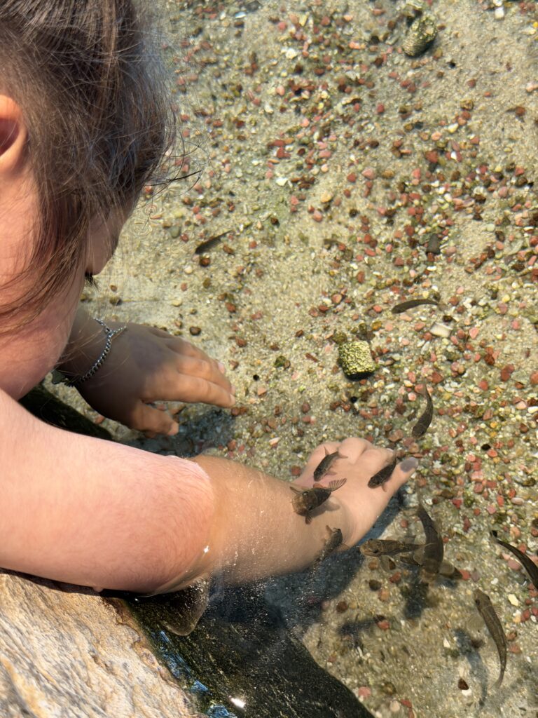 Child touching small fish in the hands-on touch pool at Aqua Planet Ilsan