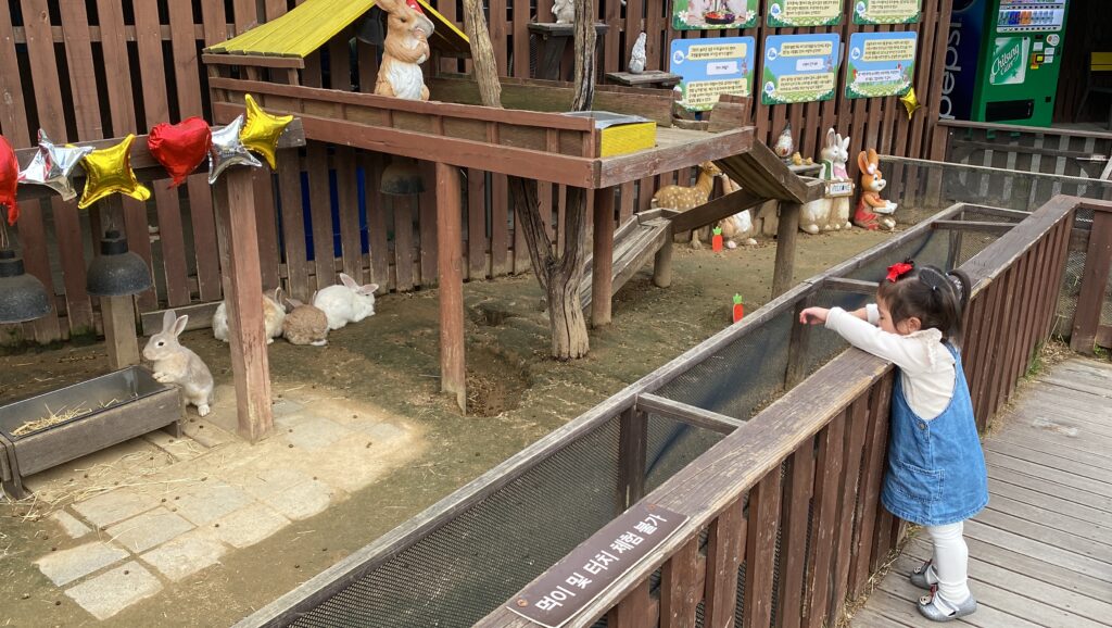 Young child feeding rabbits at the rooftop Sky Farm of Aqua Planet Ilsan