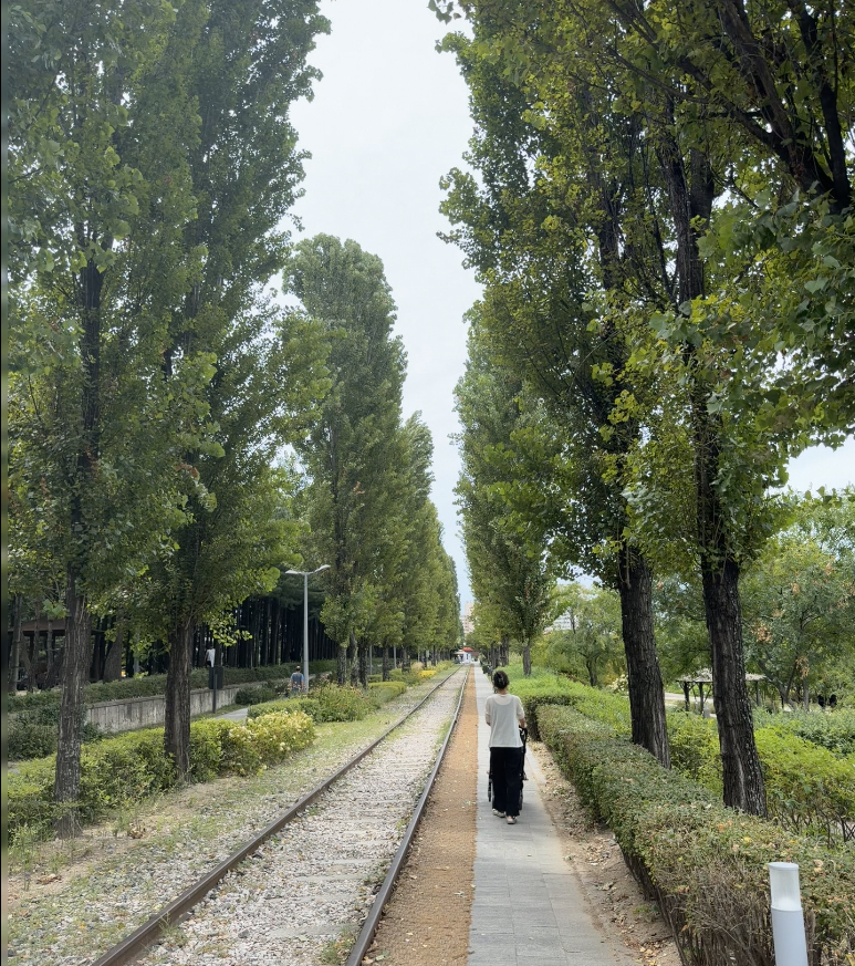 Preserved railway tracks running through a tree-lined path on the Gyeongchun Line Forest Trail, Nowon, Seoul