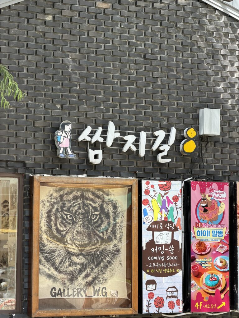  Entrance sign for Ssamzigil in Insadong, Seoul, on a dark brick wall beside a charcoal tiger painting
