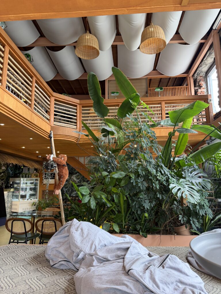 Interior of a cafe near Heunginjimun Gate in Seoul, with large tropical plants filling the centre, a wooden mezzanine above, rattan pendant lights and fabric draped across the ceiling.